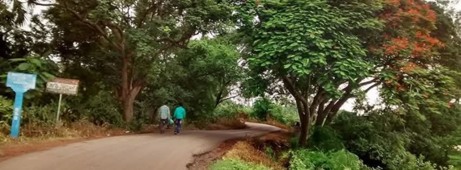 Road and greenery in Valiveru